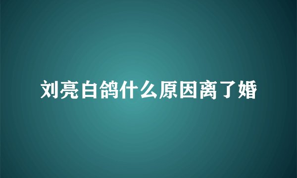 刘亮白鸽什么原因离了婚