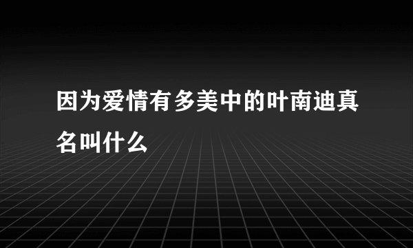 因为爱情有多美中的叶南迪真名叫什么