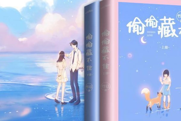 《偷偷藏不住》是什么时候出版的？