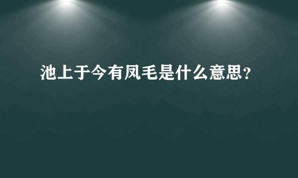 池上于今有凤毛是什么意思？