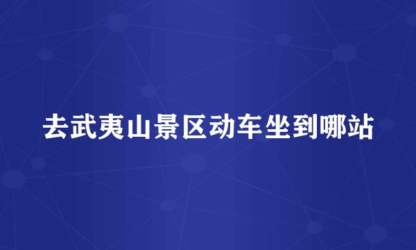 去武夷山景区动车坐到哪站