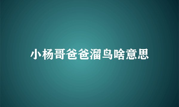 小杨哥爸爸溜鸟啥意思