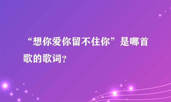 “想你爱你留不住你”是哪首歌的歌词？