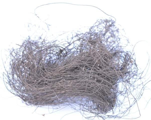 一种形如人的头发,寄生于腐烂树木上的植物叫什么？