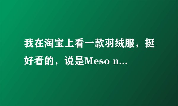 我在淘宝上看一款羽绒服，挺好看的，说是Meso ncler牌子的，我想知道这个是什么牌。
