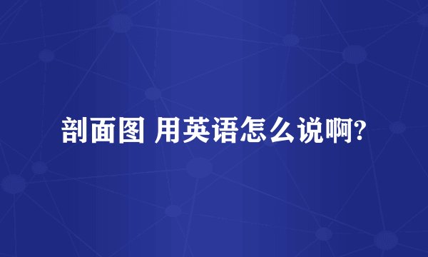 剖面图 用英语怎么说啊?