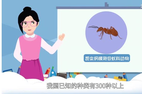蚂蚁的天敌是什么动物 蚂蚁害怕什么动物