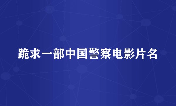 跪求一部中国警察电影片名