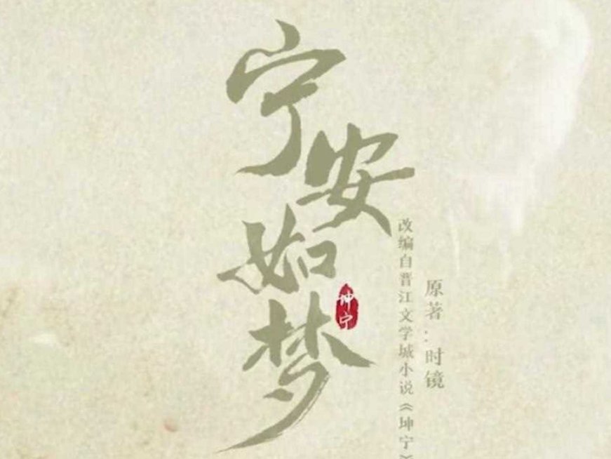 宁安如梦电视剧共多少集