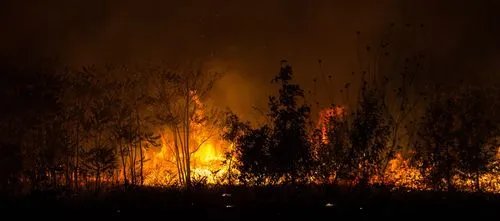 山东省青岛市三标山附近突发山火，当地展开了怎样的救援行动？