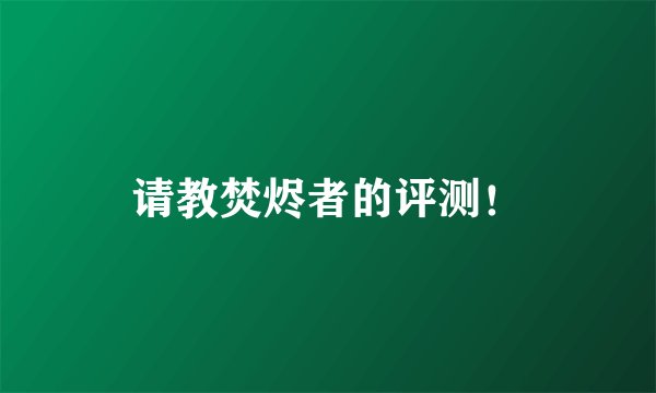 请教焚烬者的评测！