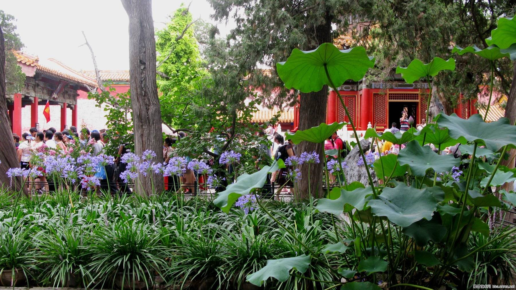 完美后花园的5版块介绍