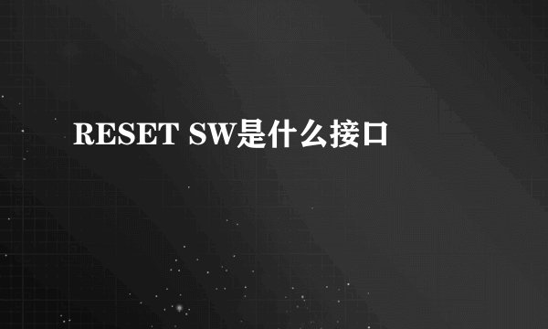 RESET SW是什么接口
