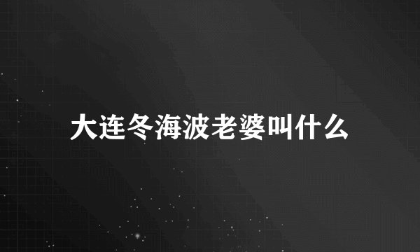 大连冬海波老婆叫什么