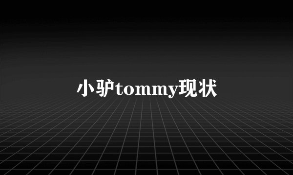 小驴tommy现状