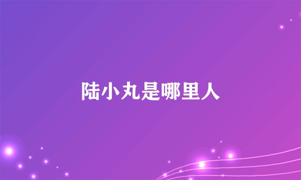 陆小丸是哪里人