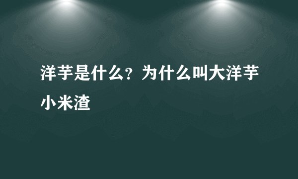洋芋是什么？为什么叫大洋芋小米渣