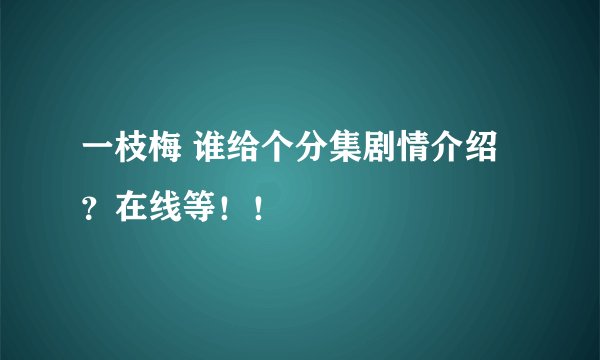 一枝梅 谁给个分集剧情介绍？在线等！！