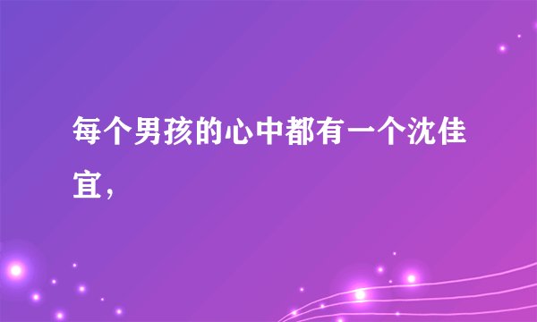每个男孩的心中都有一个沈佳宜，