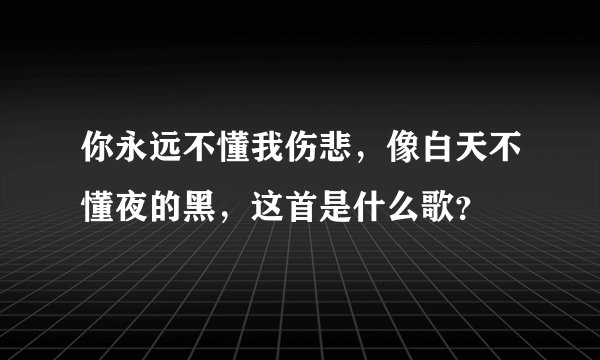 你永远不懂我伤悲，像白天不懂夜的黑，这首是什么歌？