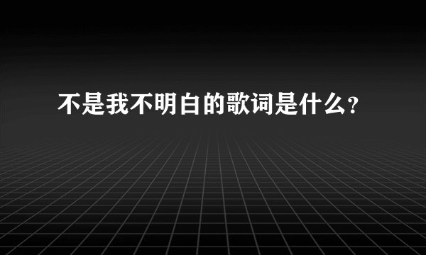 不是我不明白的歌词是什么？