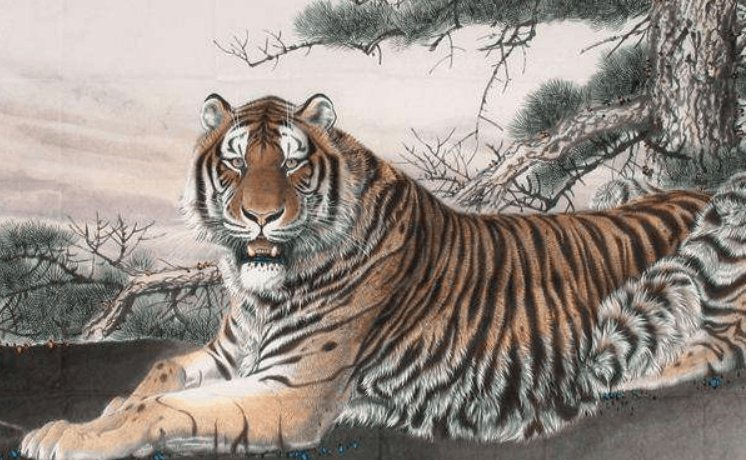 找一身是胆打一生肖