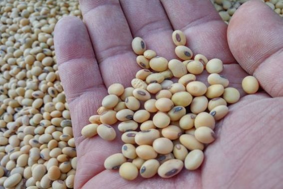 little和a little的区别