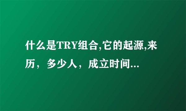 什么是TRY组合,它的起源,来历，多少人，成立时间，文凭,等问题,帮忙解答 还有他们是怎么组合在一起的???