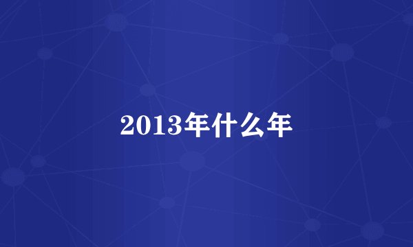 2013年什么年