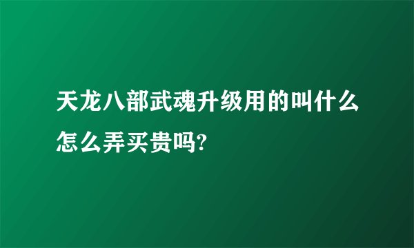 天龙八部武魂升级用的叫什么怎么弄买贵吗?