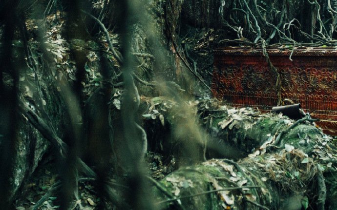 云南虫谷在哪个平台首播