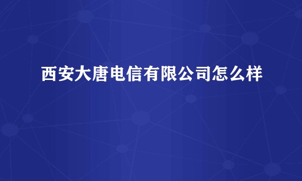 西安大唐电信有限公司怎么样