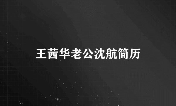 王茜华老公沈航简历