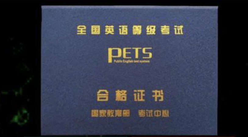 pets5一年考几次