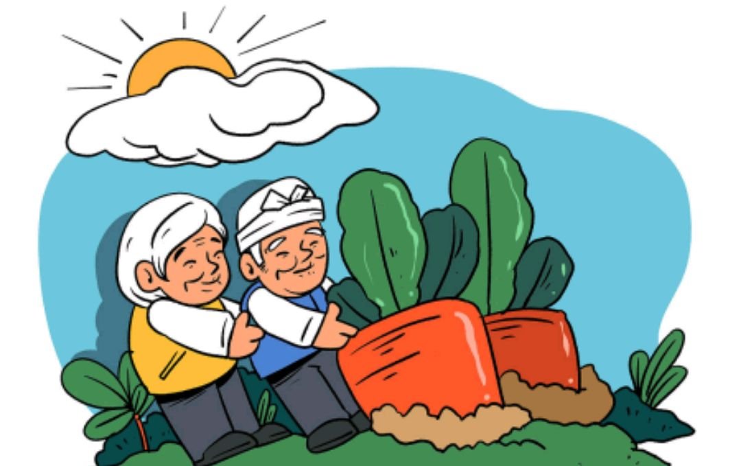 拔的组词和拼音和部首