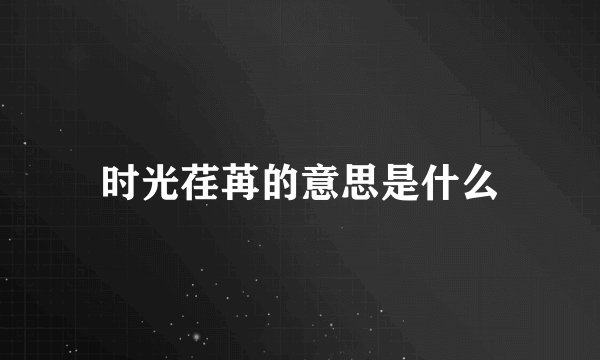 时光荏苒的意思是什么