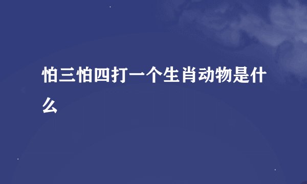 怕三怕四打一个生肖动物是什么