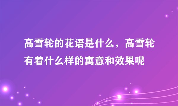 高雪轮的花语是什么，高雪轮有着什么样的寓意和效果呢