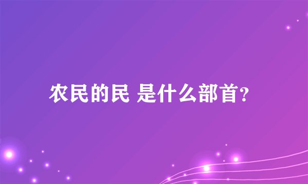农民的民 是什么部首？