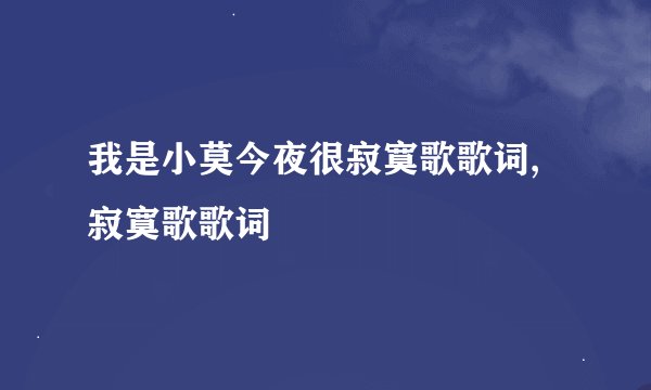 我是小莫今夜很寂寞歌歌词,寂寞歌歌词
