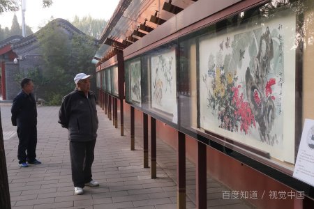 老人年纪大了听力会下降，这主要是因为？