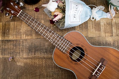 十大最简单的自学乐器