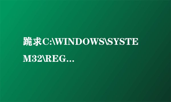 跪求C:\WINDOWS\SYSTEM32\REG.EXE注册表解决办法，急啊！！！！！
