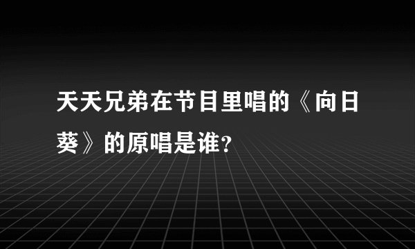 天天兄弟在节目里唱的《向日葵》的原唱是谁？