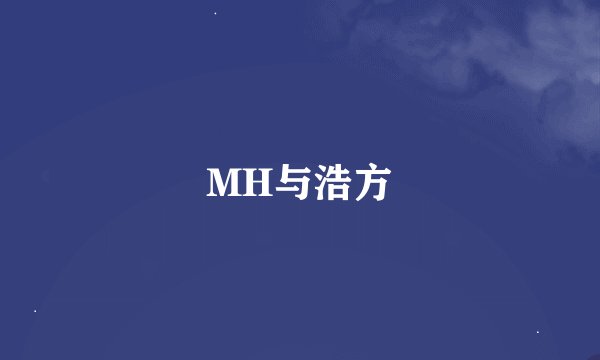 MH与浩方