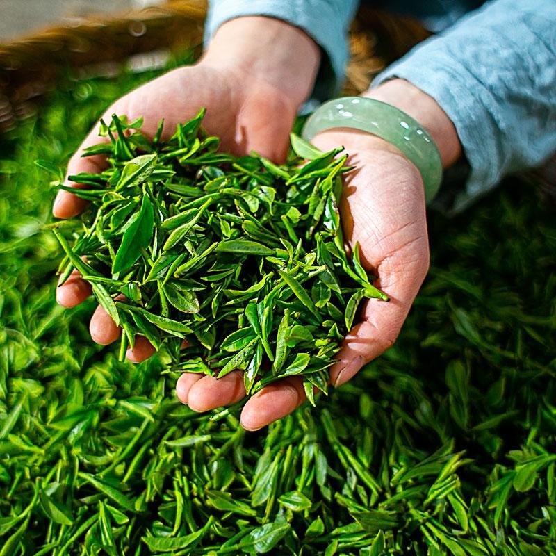眉山一3岁萌娃在茶山上帮妈妈采茶叶的视频走红，网友对此有何评价？