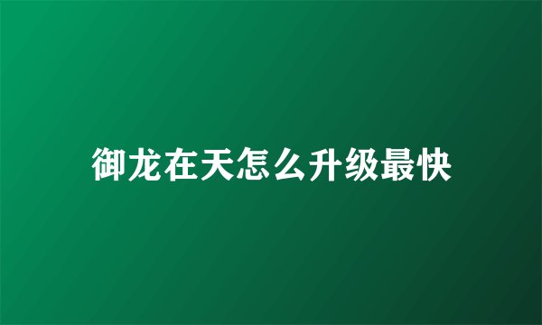御龙在天怎么升级最快
