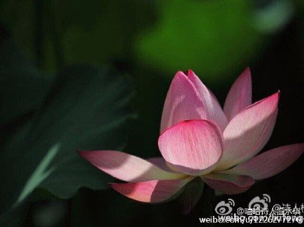 温永琪的主要作品