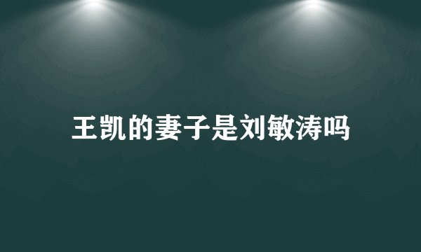 王凯的妻子是刘敏涛吗