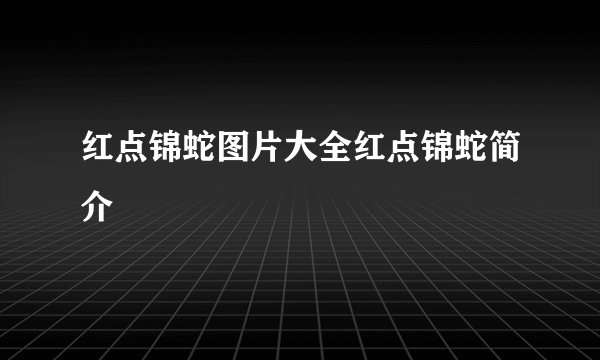 红点锦蛇图片大全红点锦蛇简介